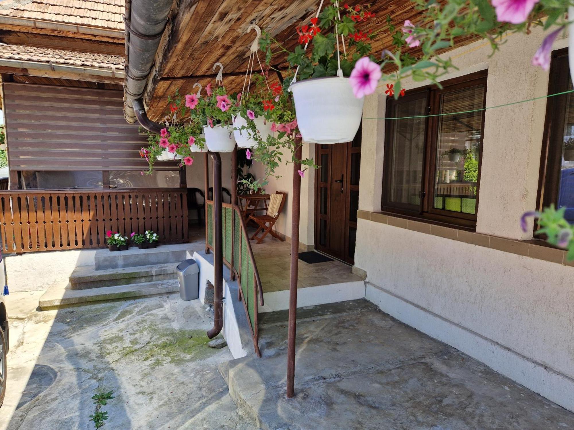 Villa Casa Anomis Călimăneşti Exterior foto